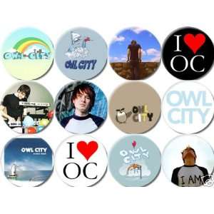  Set of 12 OWL CITY Pinback Buttons 1.25 Pins / Badges 