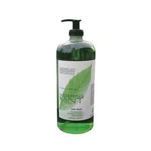    Archipelago Botanicals Morning Mint Body Wash 32 ounce Beauty