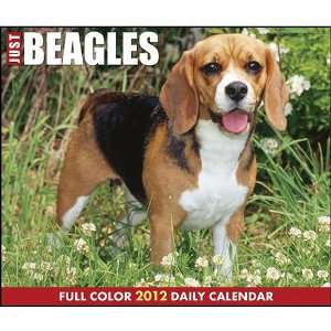  Beagles 2012 Daily Box Calendar: Office Products