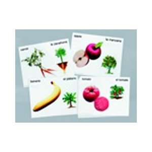  WORLDCLASS LEARNING MTRLS. VEGETABLES & FRUITS POSTERCARDS 