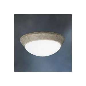   Ceiling Space 1Lt Flush Mount 10 in   8880/8880: Home Improvement