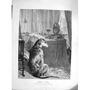   : 1874 High Life Edwin Landseer Puppy Dog Table Chair: Home & Kitchen