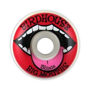  Birdhouse Big Mouths 58mm: Sports & Outdoors