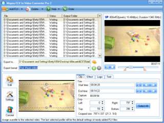 Moyea Youtube, FLV to Video Pro 2 Converter software  