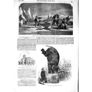   1853 Sea Ice Gold Adelphi Theatre Elephant Feat Astley