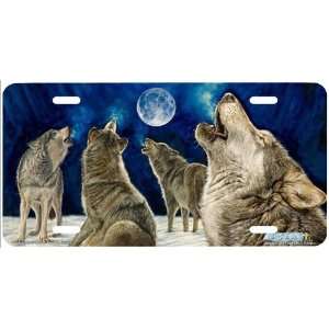 6207 Midnight Choir Wolves License Plate Car Auto Novelty Front Tag 
