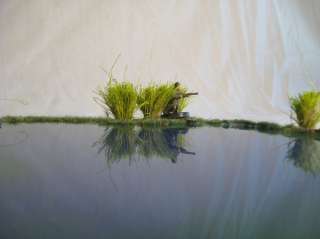 Terrain for Wargames: Beautiful 15mm Pond with Reeds!  