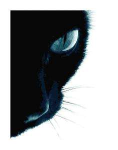 Eye of the Tiger Giant Black Cat Cross Stitch Pattern  