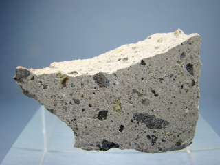 NWA 1769 Meteorite   Howardite   Fragment 29.36 g LAST  