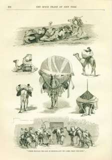 CAMELS CARRYING SPICES CAMEL DESERT ANTIQUE PRINT 1888  