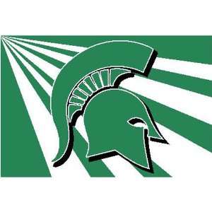   Michigan State Spartans NCAA Tufted Rug (20 x30 ): Sports & Outdoors