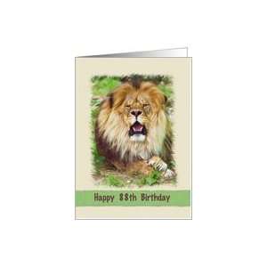  Birthday, 88th, Reposeful Lion Card: Toys & Games