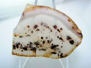 The Yellowstone River Agate Bedsfrom 2008