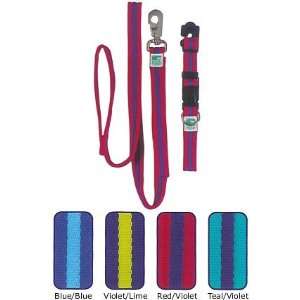  Animal Planet TM Cushioned Leash   1 inch Teal/Violet 