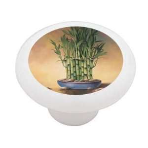  Bamboo in Rock Bowl Decorative High Gloss Ceramic Drawer 