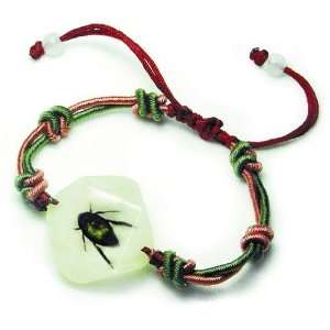   YL12 Real Bug Bracelet lucky beetle pack of 3: Patio, Lawn & Garden