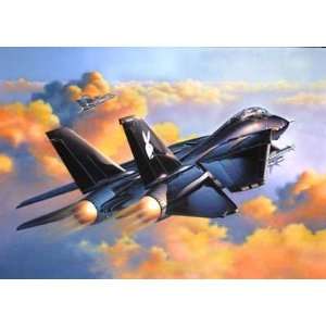    Revell Germany 1/48 F14A Black Tomcat Aircraft Kit: Toys & Games