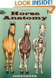  Most Wished For best Childrens Horse Books