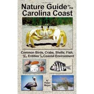  Nature Guide to the Carolina Coast Common Birds, Crabs 