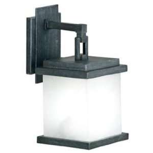  Peak Collection Pewter Finish 12 High Outdoor Wall Light 