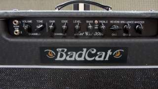 NEW Bad Cat Amps   HOT CAT 30R   With Reverb, Effects Loop, Channel 