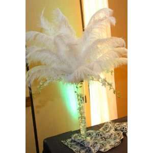  White Ostrich Feathers 20 28 Everything Else