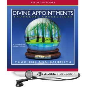  Divine Appointments A Snowglobe Connections Novel 