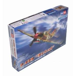  P 40M Warhawk Fighter 1 72 by Hobby Boss Toys & Games