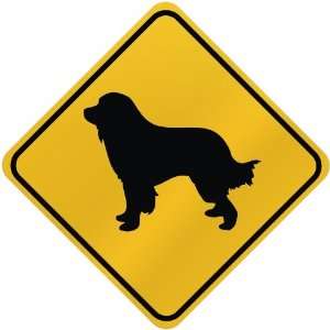    ONLY  GREAT PYRENEES  CROSSING SIGN DOG