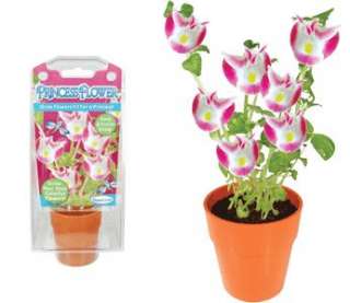 Grow Your Own Princess Flower Capsule Terrarium Kit  