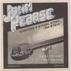   Lap Steel Guitar Six String Nickel Wound Am6 Tuning, .016   .046, 7310