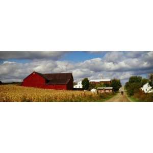  Amish Farm Buildings and Corn Field Along Country Road, Ohio 