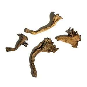 Dried Black Trumpet Mushrooms (4oz)  Grocery & Gourmet 