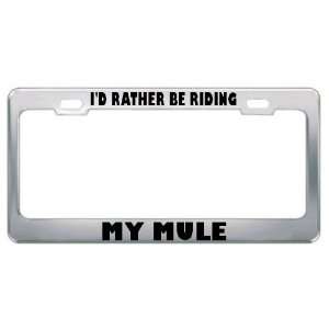  ID Rather Be Riding My Mule Animals Metal License Plate 