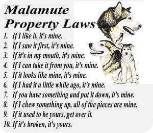 ALASKAN MALAMUTE DOG PROPERTY LAWS   COMPUTER MOUSE PAD  
