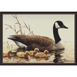  Wildlife Impressions   Hautman   Canada Goose