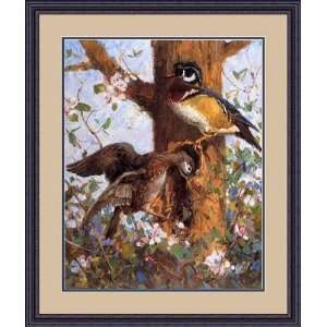  Spring (Wood Ducks) by Gerald Merfeld   Framed Artwork 