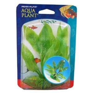   Sword Aquarium Plant Small