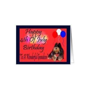  4th Of July Birthday to Grandson, Pomeranian watching fireworks 