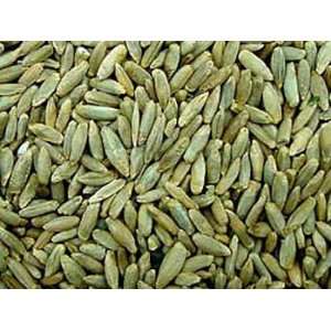 Rye, 25 Lb Bag, Biologically Grown Non GMO, Whole Grain  