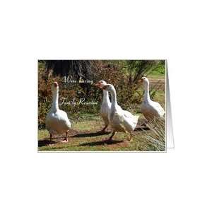  Family Reunion Party Invitation   Geese Family Card 