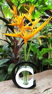  Modern Mango Wood Vase Home Decor / Garden Decor Gift From Thailand
