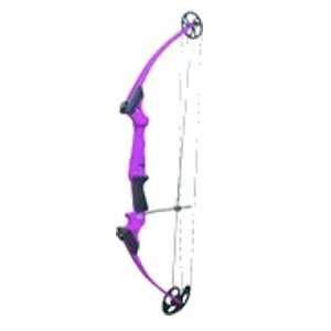   Inc 11 Genesis Kit Rh Purple Color Coordinated Belt Tube Quiver Bow
