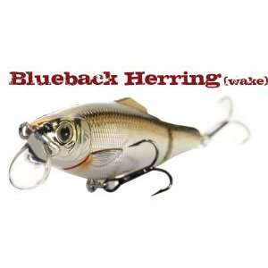   BLUEBACK HERRING Wake Bait   3.5 SILVER/BLUE: Sports & Outdoors