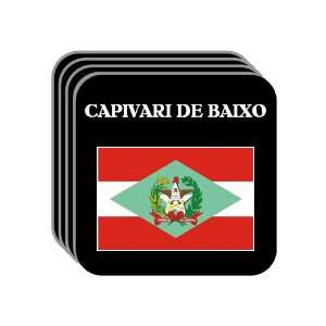 Santa Catarina   CAPIVARI DE BAIXO Set of 4 Mini Mousepad Coasters