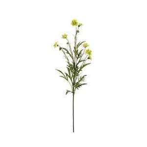  Faux 29 Coreopsis Spray Green (Pack of 12): Beauty