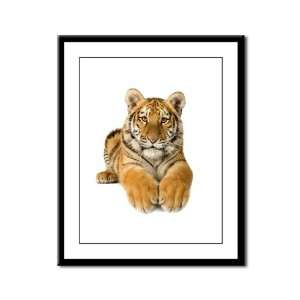  Framed Panel Print Bengal Tiger Youth 