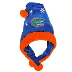  Florida Gators Dangle Hat: Sports Collectibles