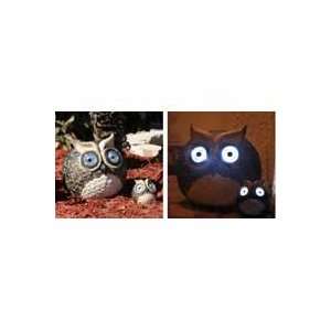 New Smart Solar Inc Solar Owl Accent Set Illuminate Automatically Dusk 