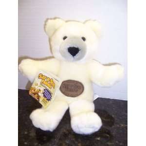    Recordable Plush Teddy Bear (Say & Send Friends) Toys & Games